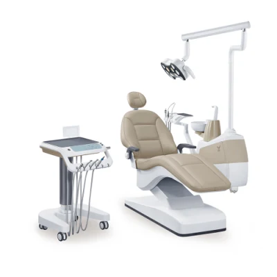 Cojín de cuero Sillón dental aprobado por Ce e ISO Equipo dental India/Últimos productos dentales/Eagle Dental Supply